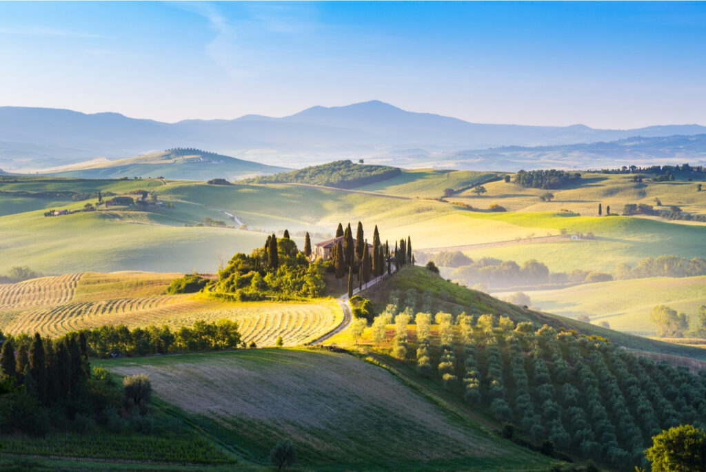 Tuscany day tour in Montepulciano Pienza and Montalcino with